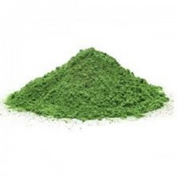 Moringa